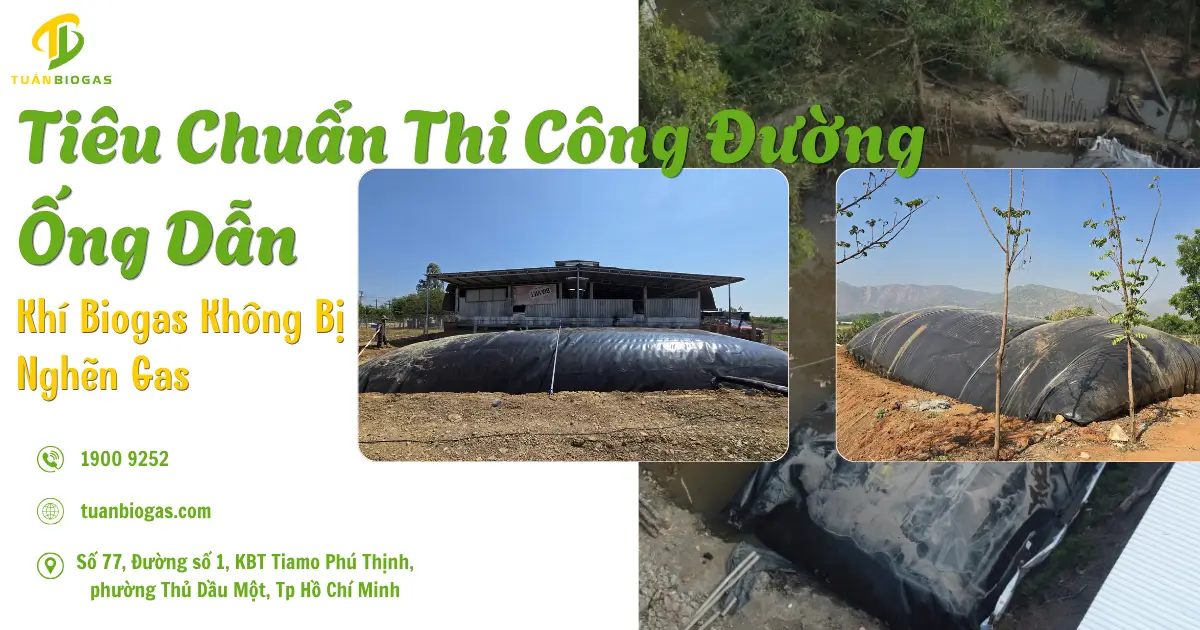 Tiêu Chuẩn Thi Công Đường Ống Dẫn Khí Biogas & Kỹ Thuật Lắp Bình Lọc Khí Cho Trang Trại